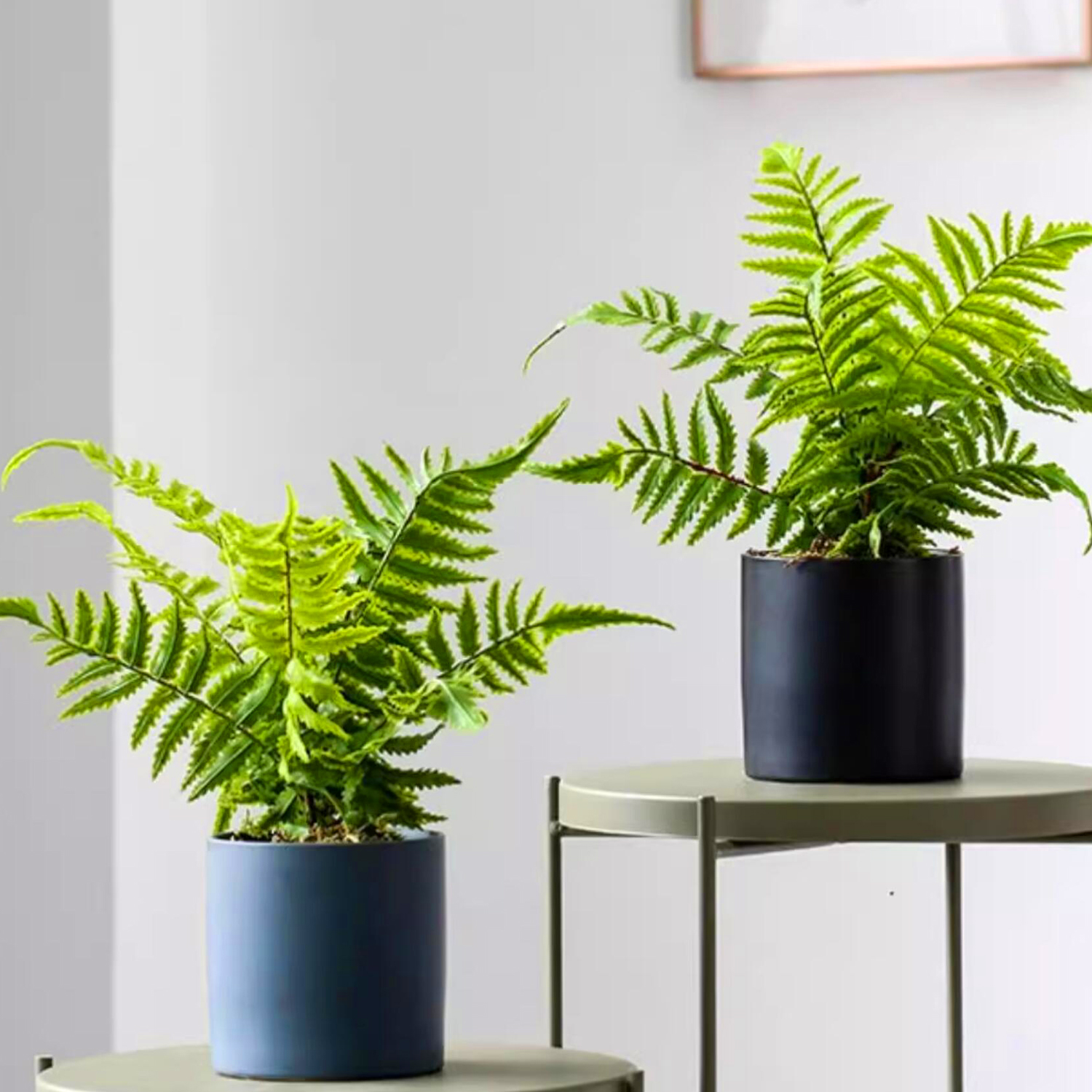 48cm（19in）Artificial fern leav - Interior Design Office recensione e prezzo