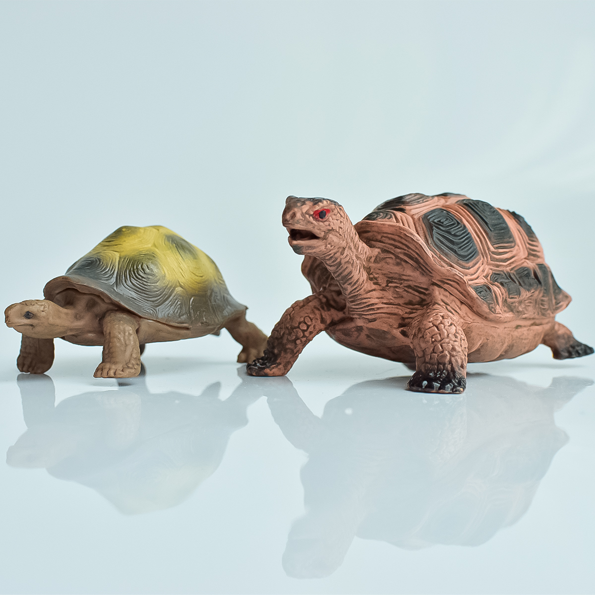 Painted Realistic Animal Turtl - Interior Design Office recensione e prezzo