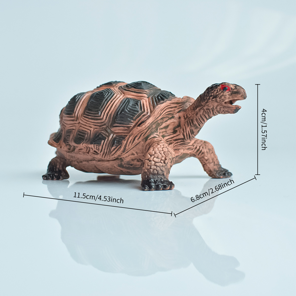 Painted Realistic Animal Turtl - Interior Design Office recensione e prezzo