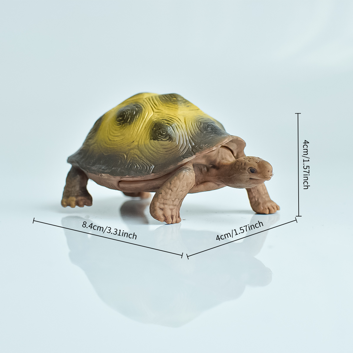Painted Realistic Animal Turtl - Interior Design Office recensione e prezzo