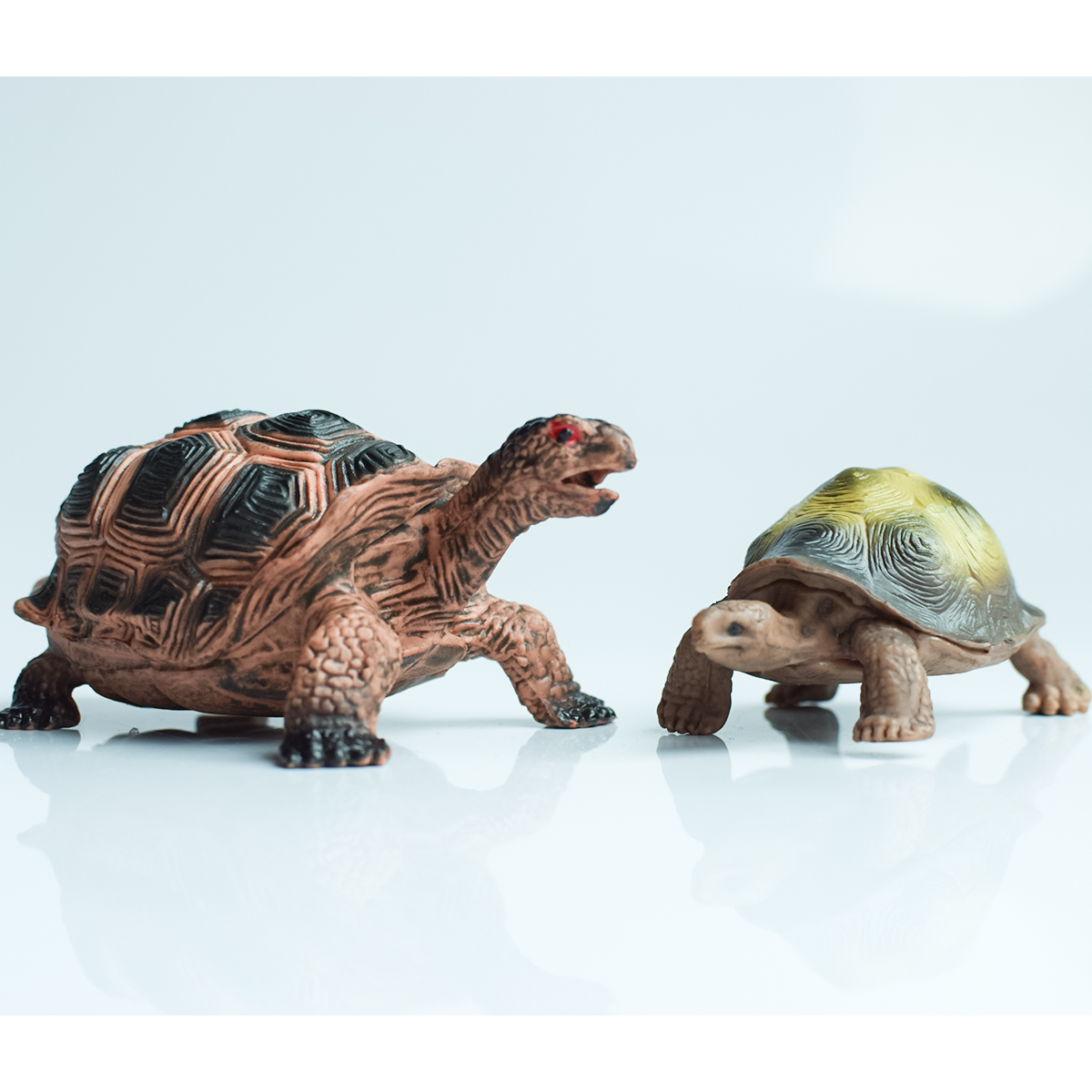 Painted Realistic Animal Turtl - Interior Design Office recensione e prezzo