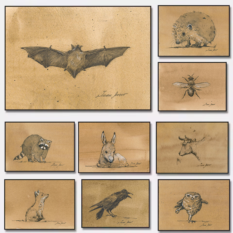Minimalist Animals Raven Bat C - Interior Design Sketch recensione e prezzo