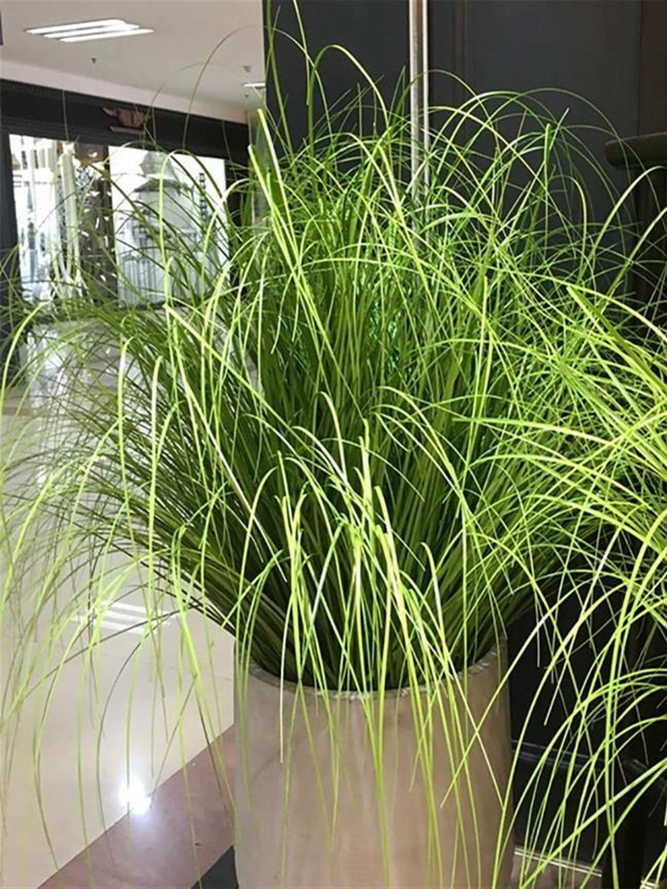 55cm Artificial Reed Grass Lar - Interior Design Office recensione e prezzo