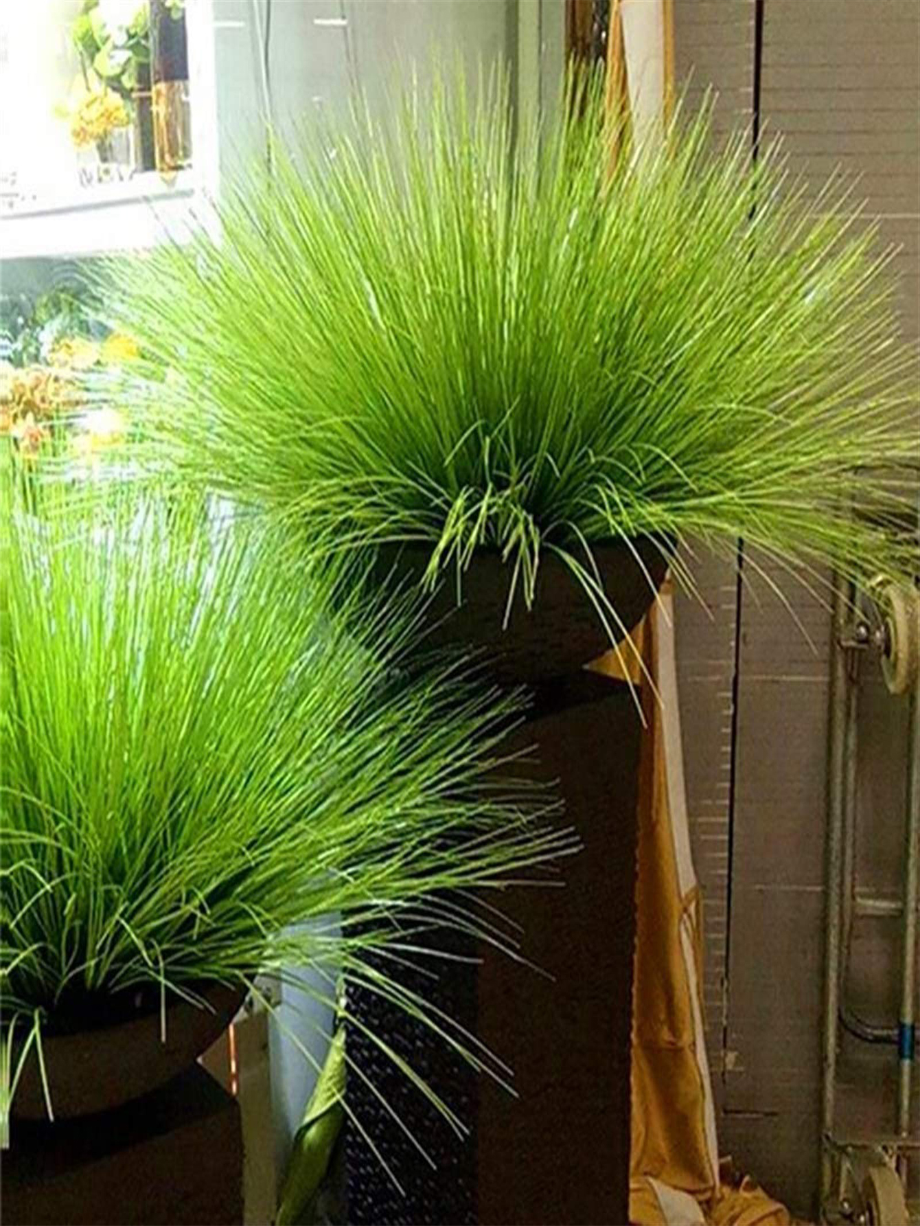 55cm Artificial Reed Grass Lar - Interior Design Office recensione e prezzo