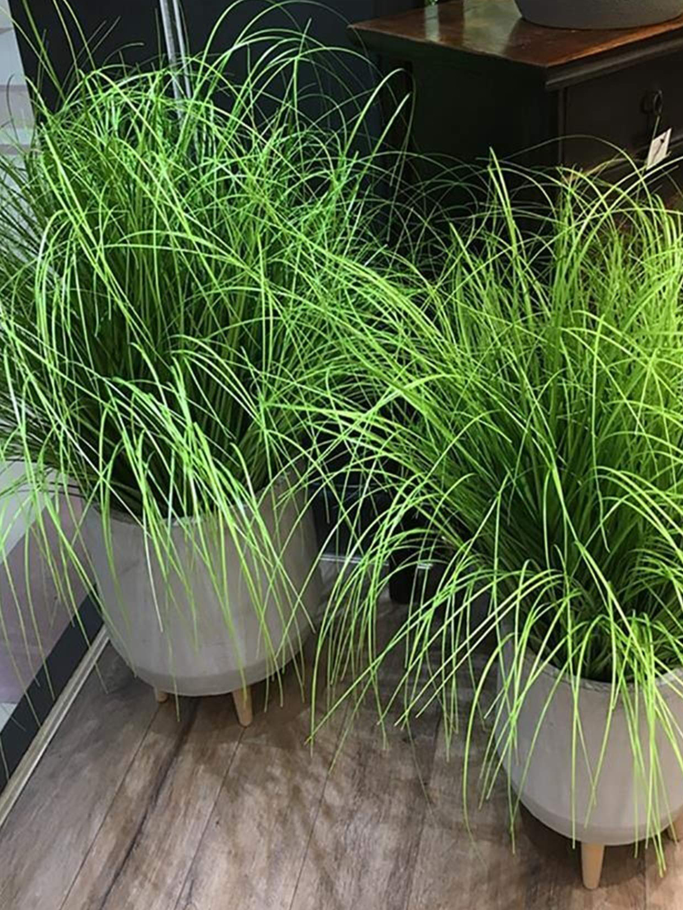 55cm Artificial Reed Grass Lar - Interior Design Office recensione e prezzo