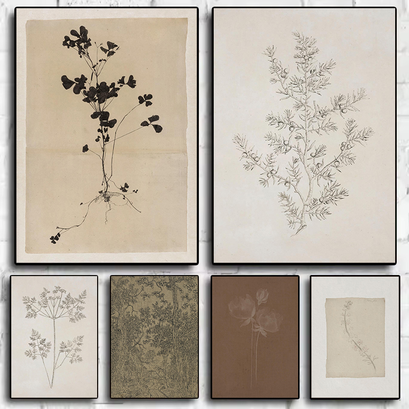 Vintage Minimalist Olive Branc - Interior Design Sketch recensione e prezzo
